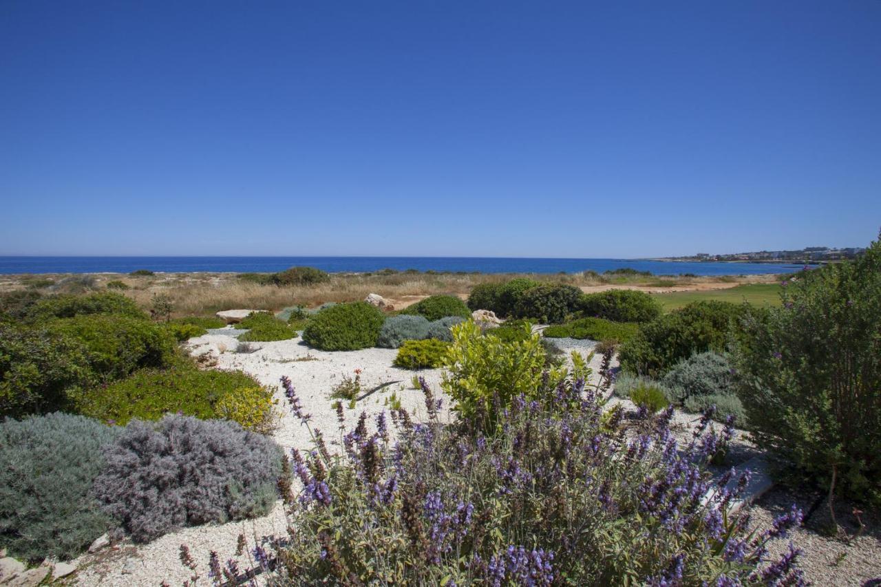 Protaras Seafront Villa Melissa Exteriör bild